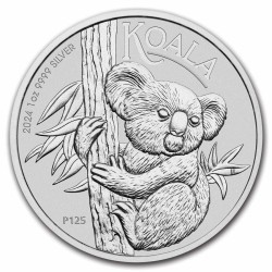 Australian Koala 2024 (1oz) + Cápsula