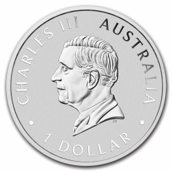 Australian Koala 2024 (1oz) + Cápsula